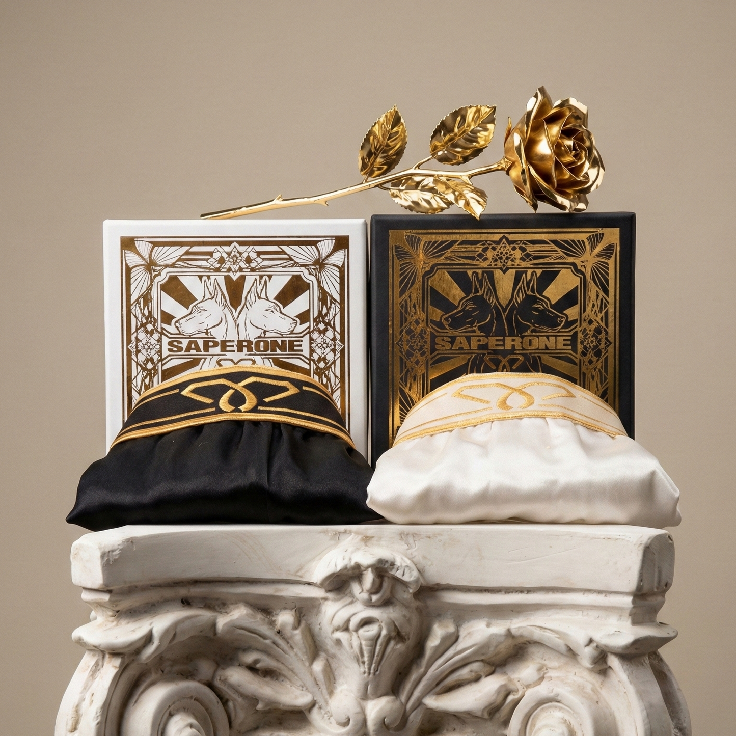 Klavier Schwarz &amp; Elfenbein Weiß Bundle